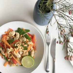 Asiatisk inspireret nudelsalat med kylling