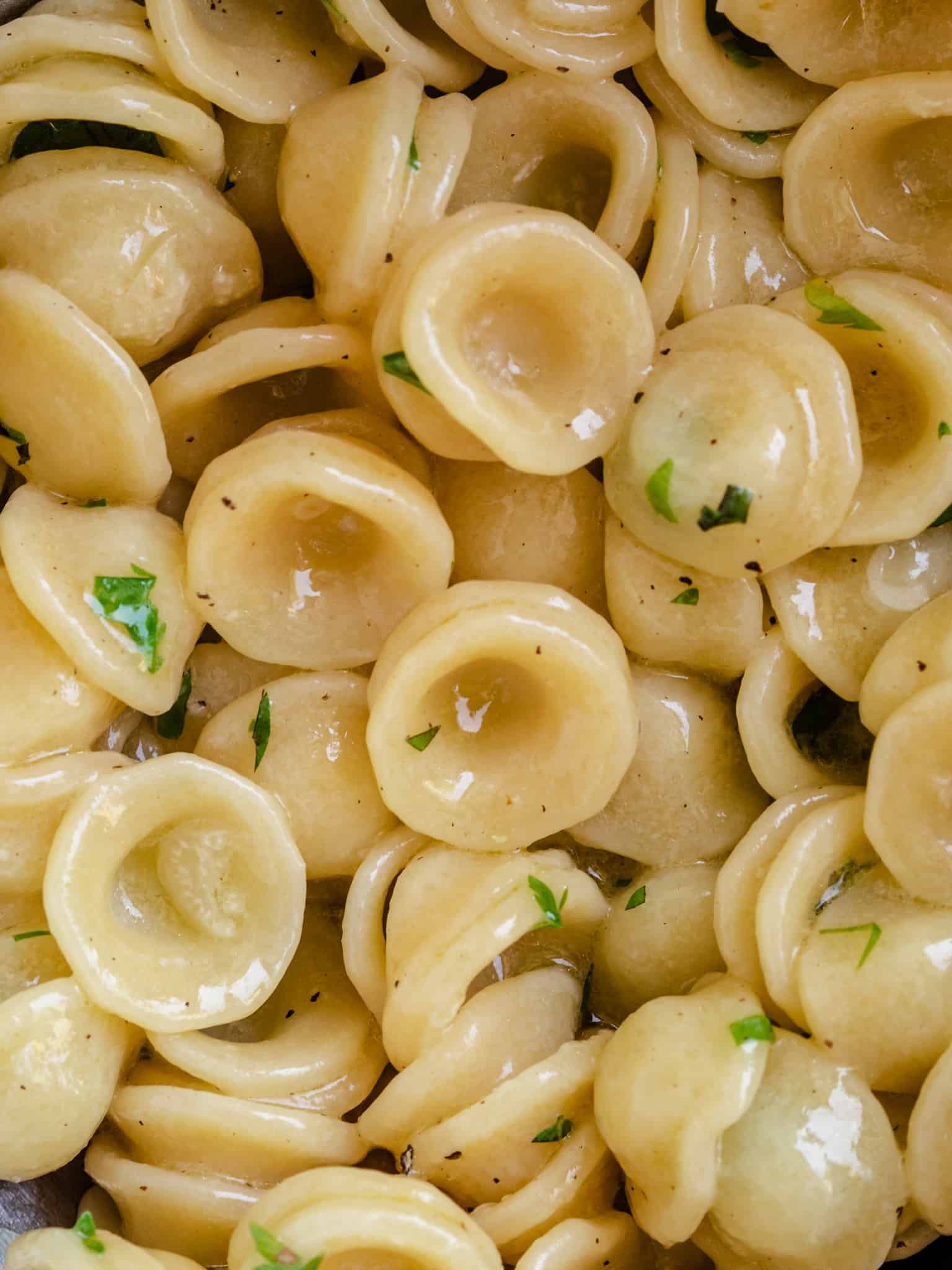 orecchiette pasta med hvidløg og olivenolie