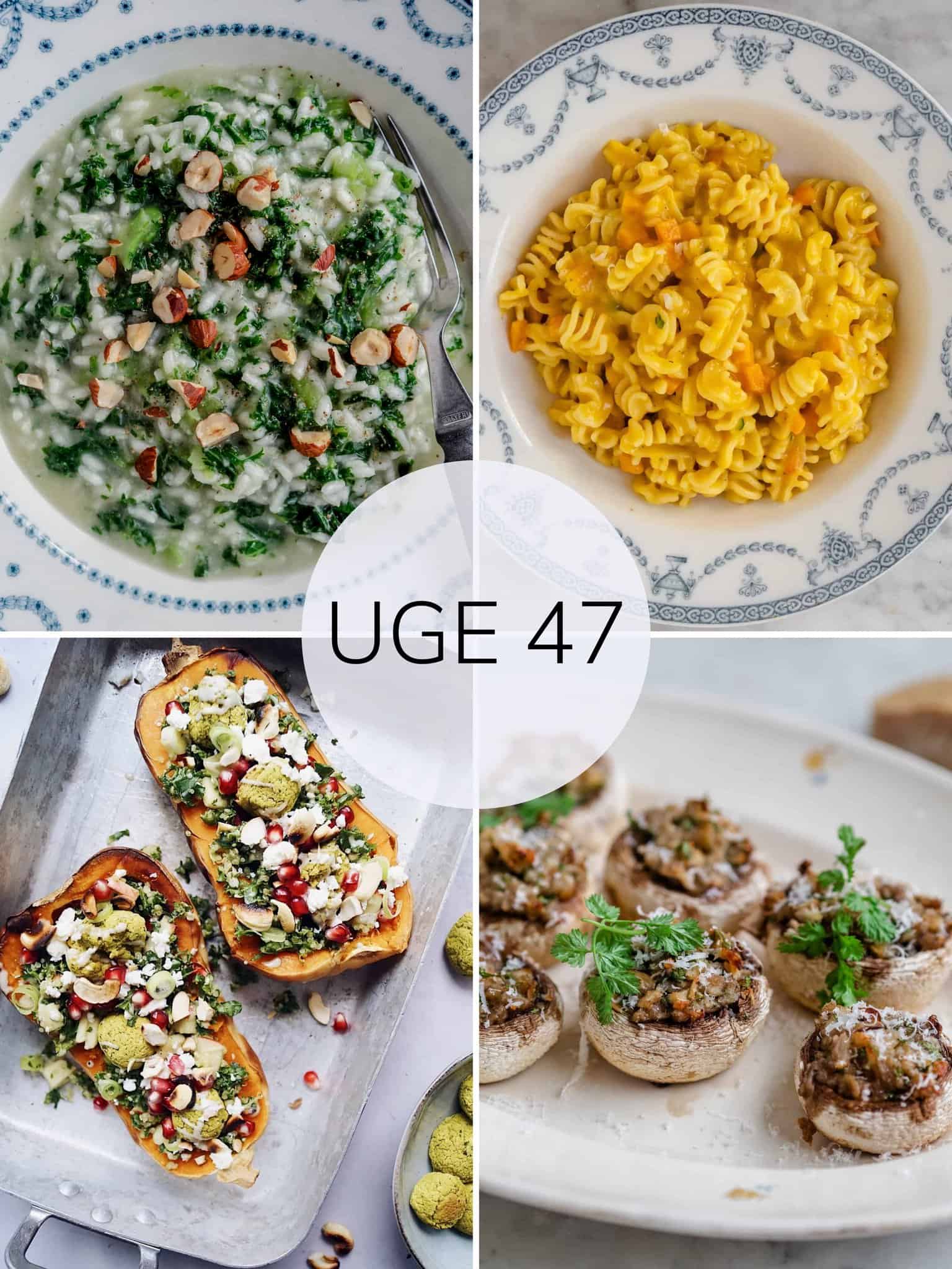 Vegetarisk madplan uge 47 - skøn vegetar mad til hele ugen!