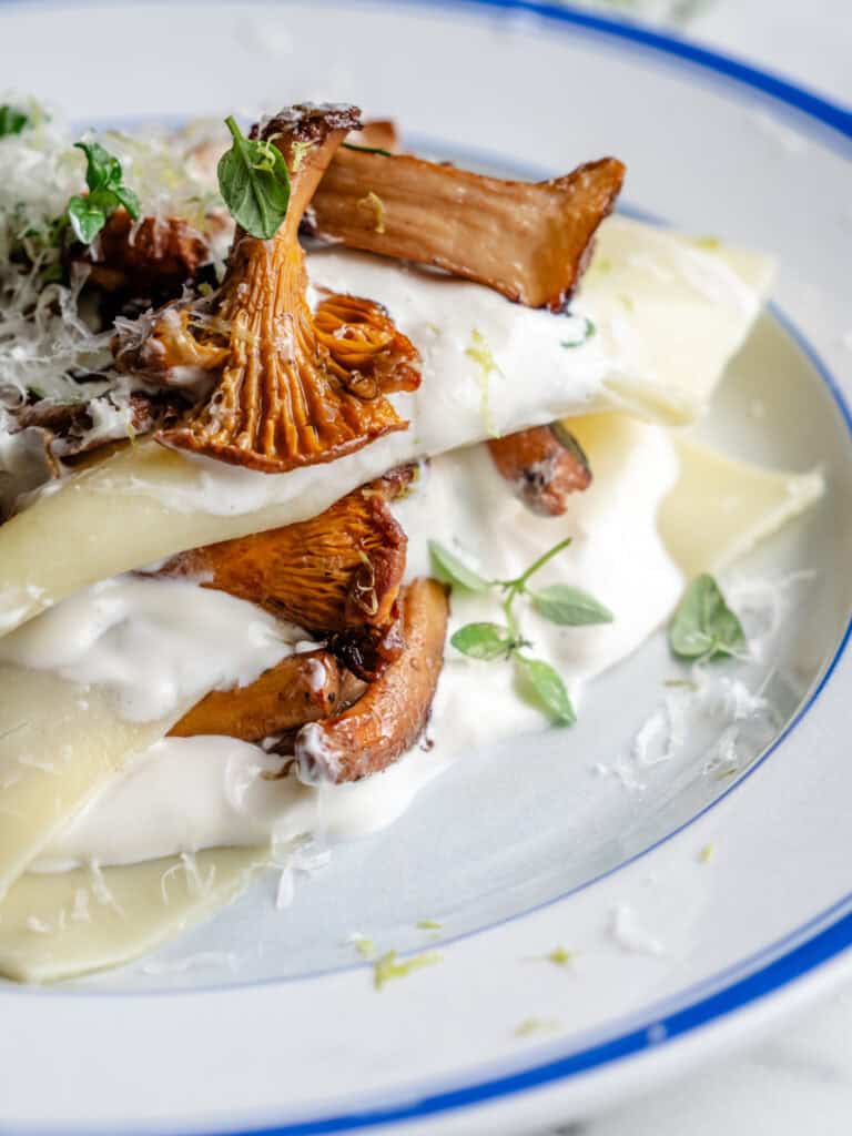 åbn kantarellasagne