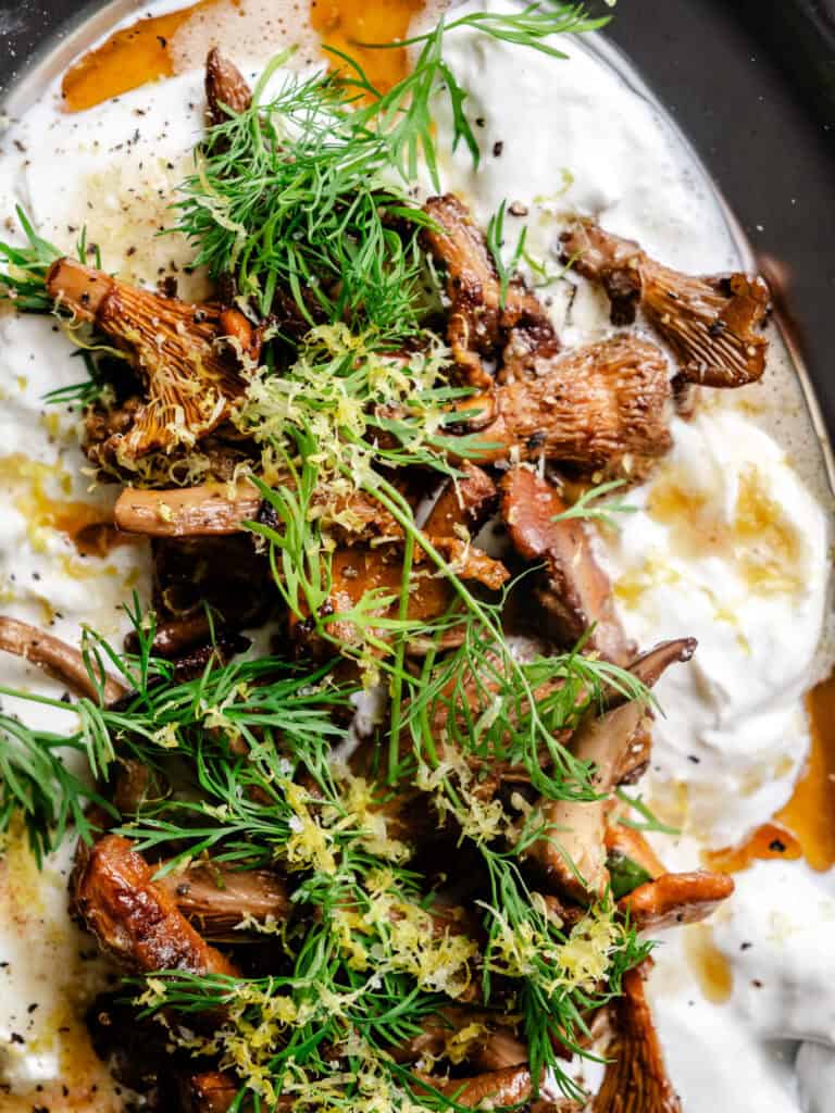 Burrata med stegte kantareller