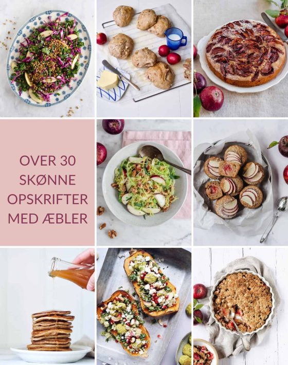 opskrifter med æbler