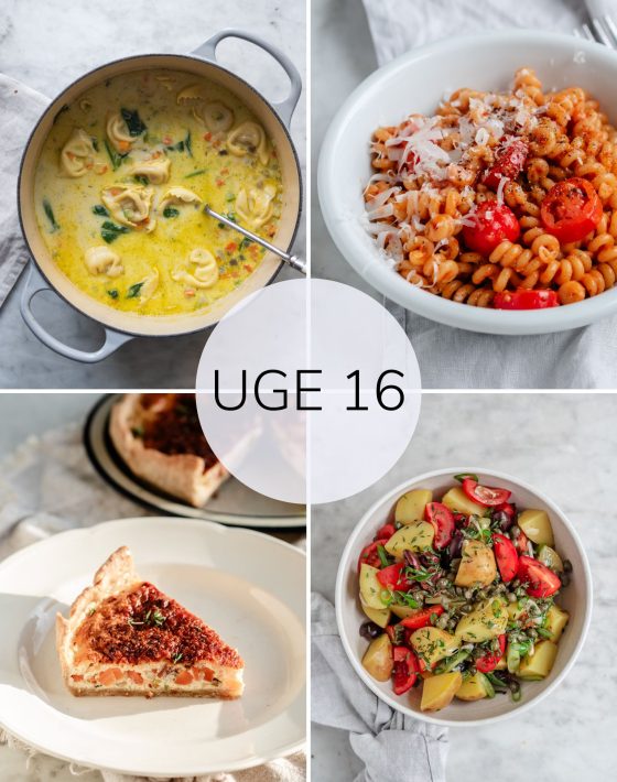 Madplan uge 16