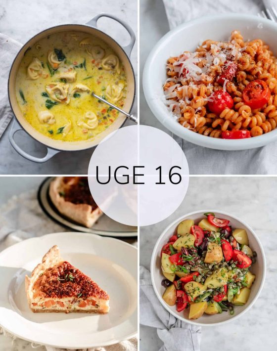 Madplan uge 16
