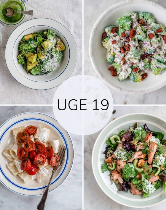Madplan uge 19