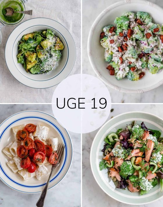 Madplan uge 19