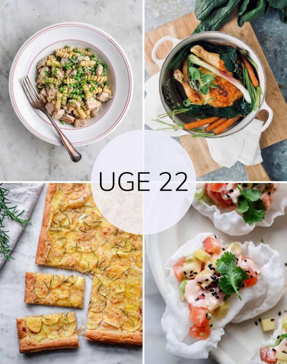 Madplan uge 22