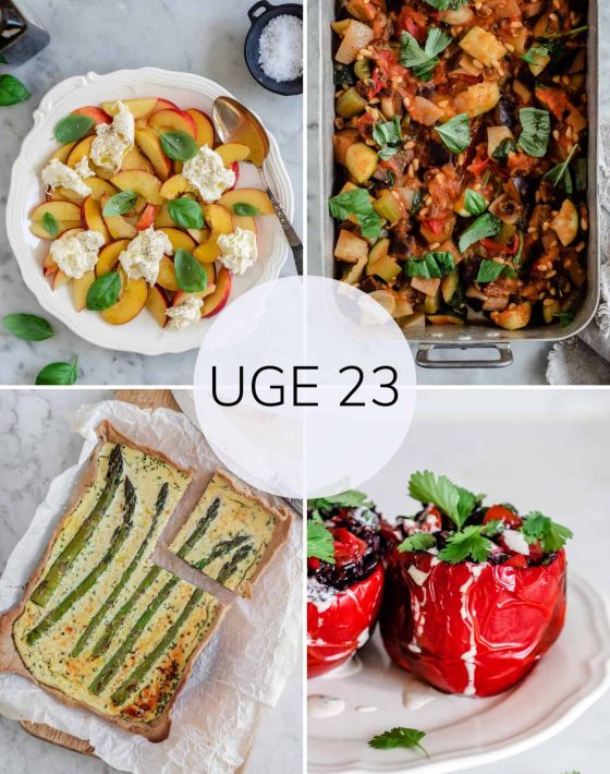 Madplan uge 23