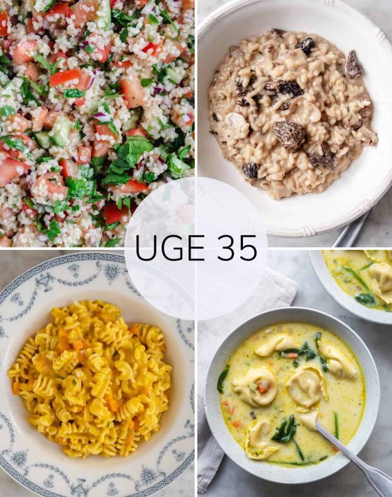 Madplan uge 35